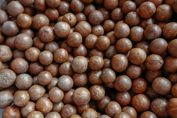 Closeup of portion of macadamia on the shell
