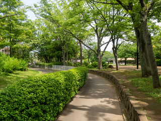 path in the park