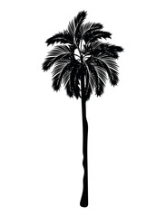 palm silhouette icon