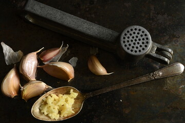 Fresh organic garlic with garlic press and ground garlic in silver spoon on dark grunge background.