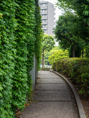 alley in the park