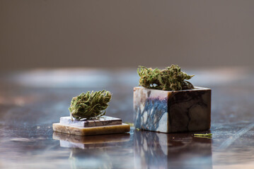 canabis, green aromatic plant, medicinal, marijuana, drug addiction, resin, illegal sales