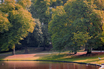 Season change concept, Late summer, Beginning autumn, The leaves on the trees s about to changing colour from green to yellow and orange, Nature background, Noorderplantsoen Park, Groningen.