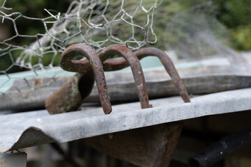 Tête de râteau rouillé posé dans un jardin durant l'été