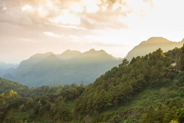 High rainforest mountain at sunrise. scenic view background