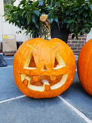 Halloween and various festive pumpkins decorating the threshold of the house.