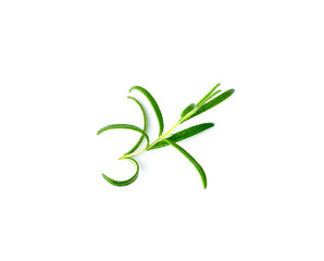 Fresh Rosemary Isolated