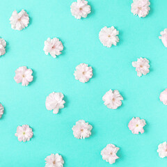 White  flower pattern on green pastel background. Minimal spring concept. Flat lay.