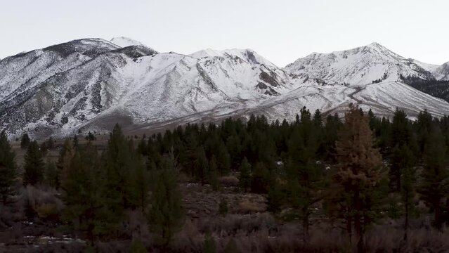 Drone video of fall trees in front of a snowy mountain in the eastern Sierra Nevada mountain range