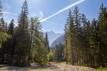 Hiking trail, mountain path, and an alpine moutain river stream going through a Typical alpline...