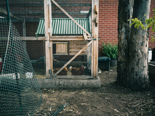 Chicken coop © Thanh