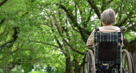 Senior woman riding a wheelchair in nature. 自然の中で車いすに乗るシニア女性
