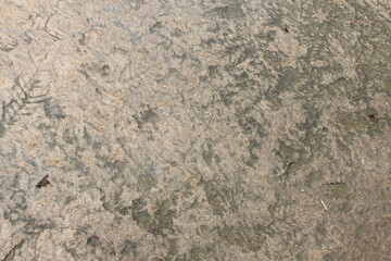 stone wall texture