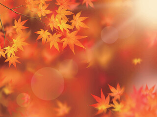 Fototapeta premium 赤く紅葉した美しい紅葉の葉のオシャレなベクターの光のキラキラしたピンボケの幻想的な背景素材フレーム 