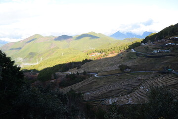 丸山千枚田の棚田