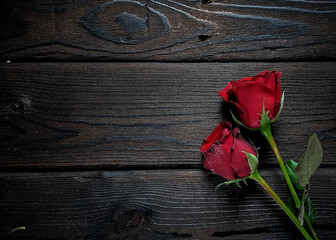  Red Rose composition with wooden background, Romantic photography