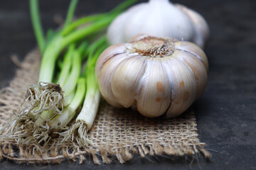 garlic with tree on kitchen