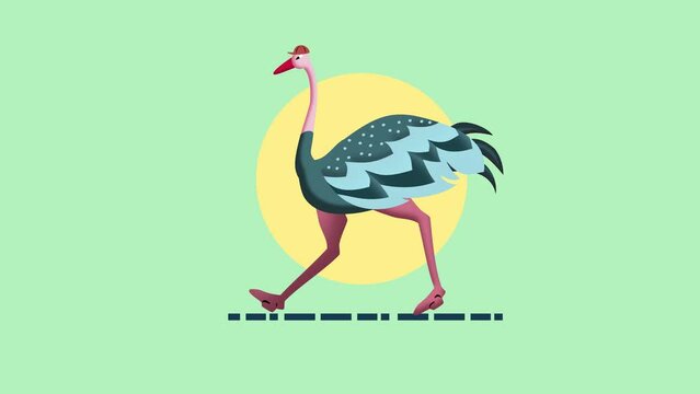 A walking green ostrich, animation