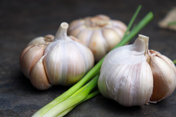 garlic with tree on kitchen