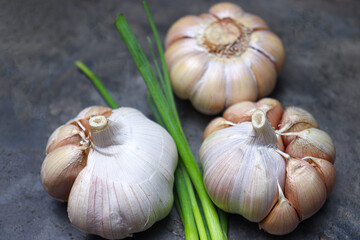 garlic with tree on kitchen