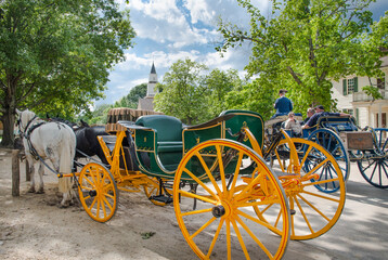 horse and carriage