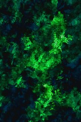 green color of abstract background