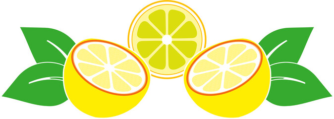 Lemon Fruit  half cut and leaves isolated on white as symbol of freshness and organic food element vector illustration.