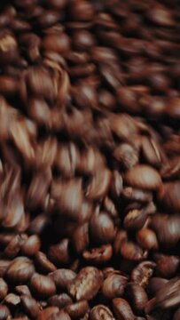 Production of fresh fried coffee beans roasting factory process