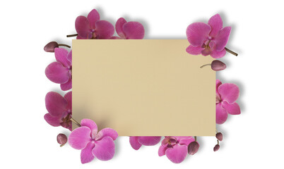 Flowers and paper on a white background and clipping path.