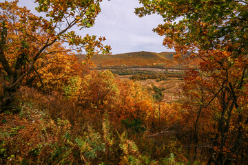 Fototapeta premium The mountain autumn landscape with colorful forest