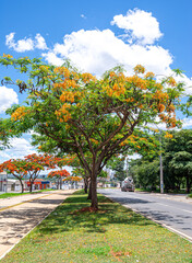 Goiânia 