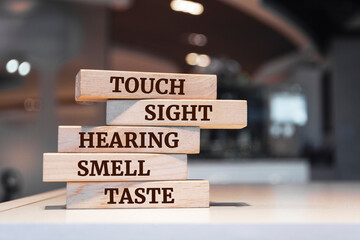 Wooden blocks with words 'touch, sight, hearing, smell and taste'.