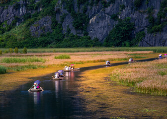 Beautiful scenery inside Van Long Natural Preserve