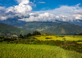 Fototapeta na wymiar Ripen rice terraced fields at harvest time in Y Ty, Lao Cai - Vietnam.