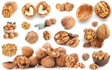 Set of many tasty walnuts isolated on white