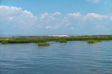 Louisiana Brackish Water Coastal Marsh and Birds