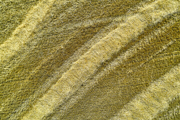 straw rolls after harvesting wheat top view background backdrop