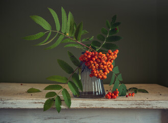 Bouquet of rowan branches with bunches of red berries