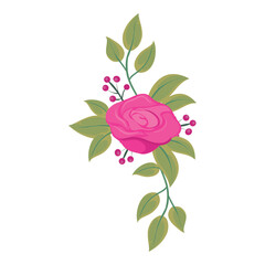 colored rose design