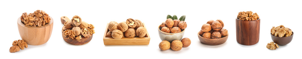 Set of tasty walnuts isolated on white
