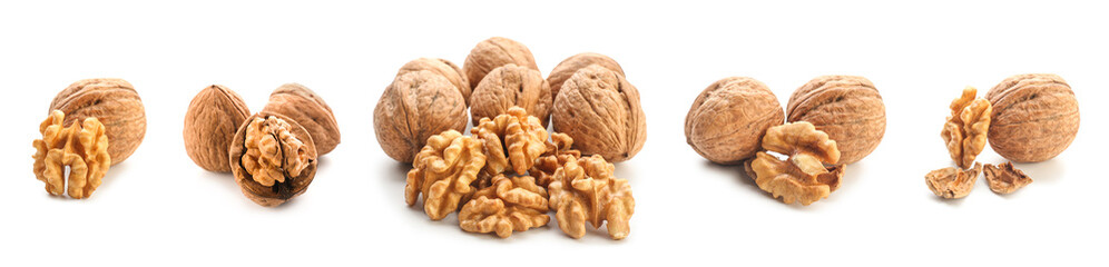 Set of tasty walnuts isolated on white