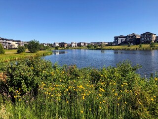 A view of a beautiful lake surrounded by flowers and homes in the summer, or retention pond, in...