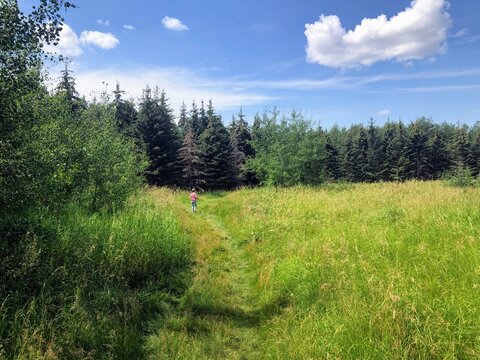 A young girl running through a meadow with tall golden grass and blue sky, in the riverlot 56 natural area outside of St. Albert, Alberta, Canada