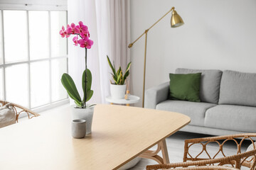 Beautiful orchid flower and candle on table in light living room interior