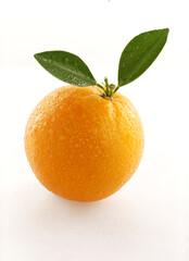 Wet fresh ripe orange fruit with orange leaves isolated on white background.