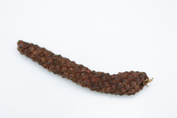 Long pepper or Piper longum isolated on white background