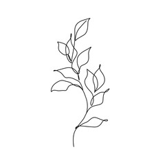 Leaves Branch Vector Hand Drawn Line Art Drawing. Minimalist Trendy Contemporary Floral Design Perfect for Wall Art, Prints, Social Media, Posters, Invitations, Branding Design.