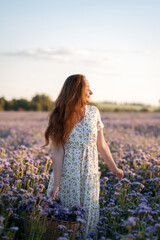 A beautiful girl with a basket walks through a field with purple flowers at sunset