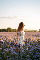 A beautiful girl with a basket walks through a field with purple flowers at sunset