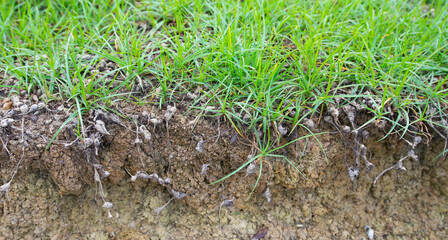 The problem of soil erosion